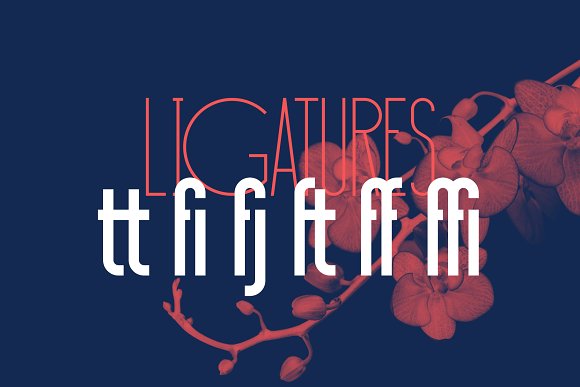 Download Шрифт "Sansterdam Bold and Thin Font" / Sansterdam Bold and Thin Font - Шрифт на тему графика 