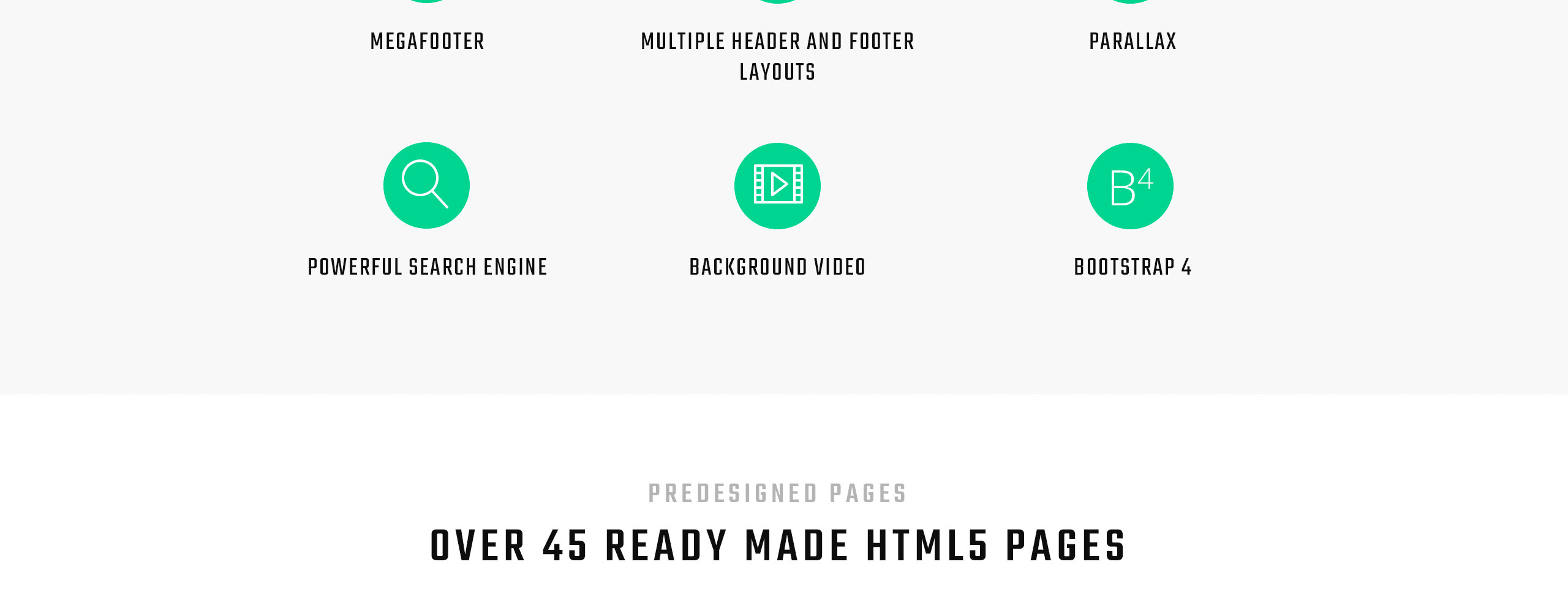Creator Website Template