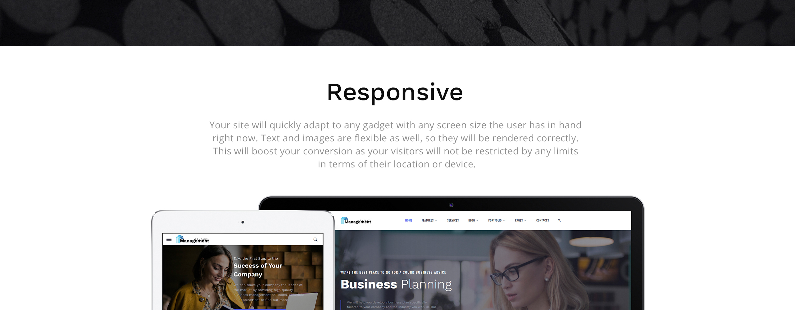 Management Company Website Template