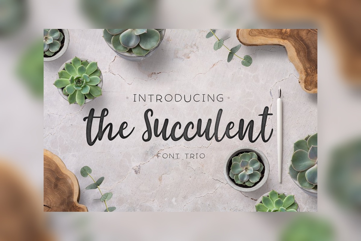 Download Шрифт "The Succulent - Trio Font" / The Succulent - Trio Font - Шрифт на тему графика cursive,elegant,feminine,bundle,handmade,script,romantic,wedding,branding,stylish,hipster,handlettered,whimsical,multilingual
