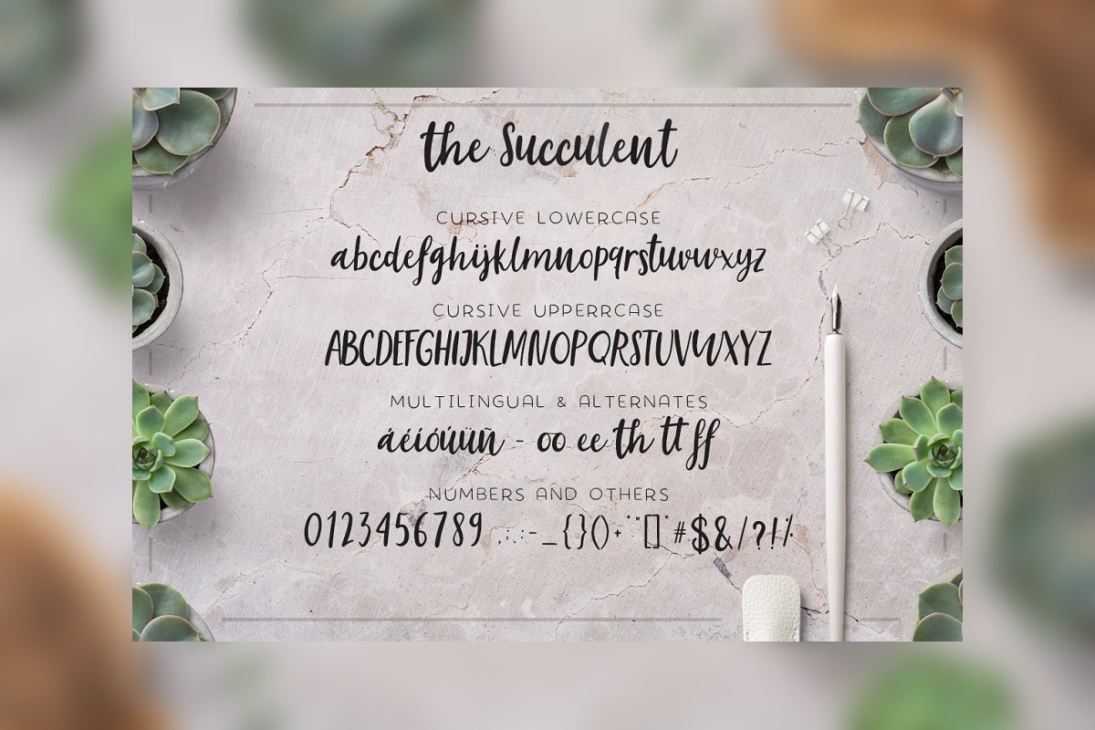 Download Шрифт "The Succulent - Trio Font" / The Succulent - Trio Font - Шрифт на тему графика cursive,elegant,feminine,bundle,handmade,script,romantic,wedding,branding,stylish,hipster,handlettered,whimsical,multilingual
