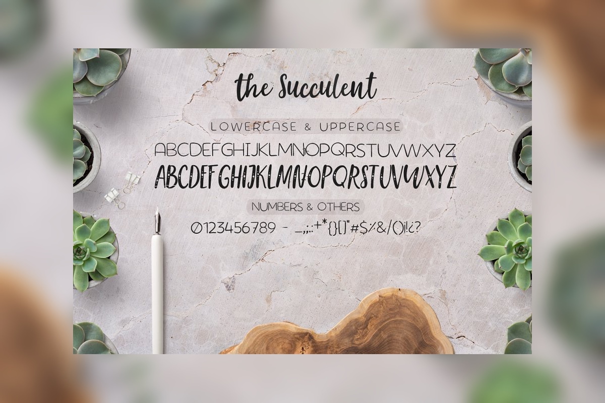 Download Шрифт "The Succulent - Trio Font" / The Succulent - Trio Font - Шрифт на тему графика cursive,elegant,feminine,bundle,handmade,script,romantic,wedding,branding,stylish,hipster,handlettered,whimsical,multilingual