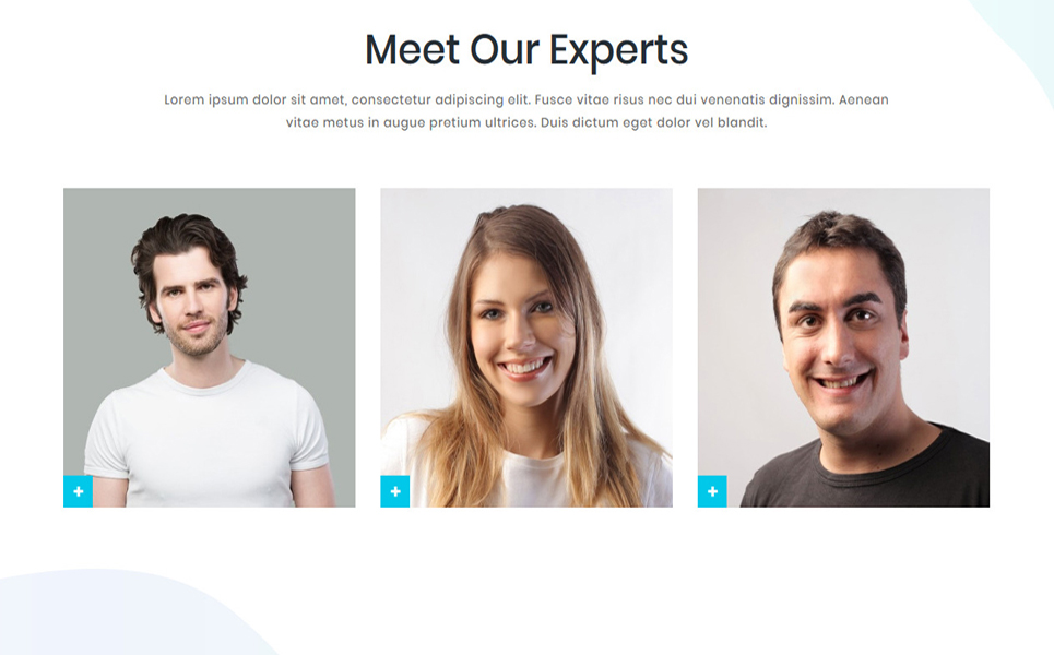Kaissa - One Page Digital Agency WordPress Theme