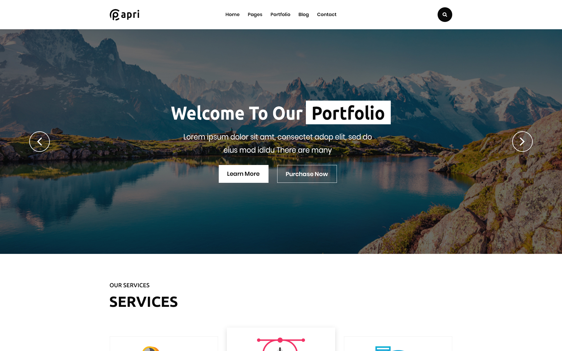 Papri - Portfolio Creative WordPress Theme