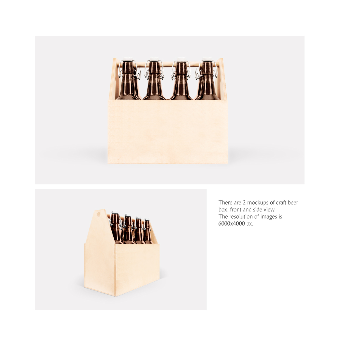 Craft Beer Box product mockup