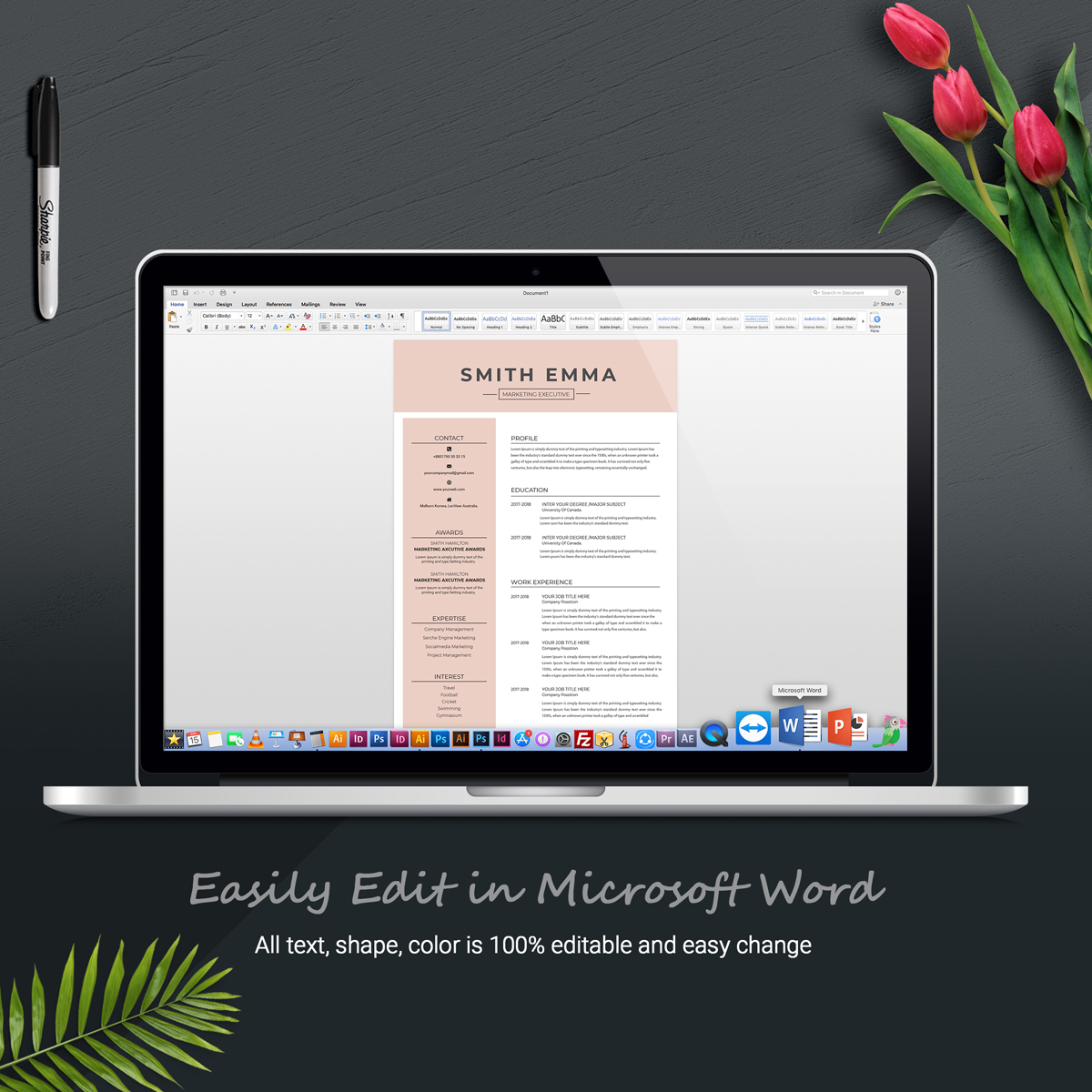 Download Резюме "Smith Emma Resume Template" / Smith Emma Resume Template - Резюме на тему графика resume template clean cv word modern free templates professional simple design microsoft doc creative minimalist psd