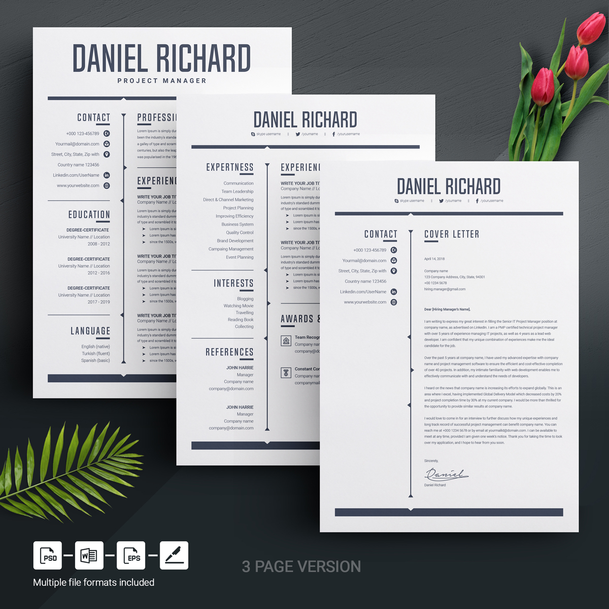 Download Резюме "Daniel Resume Template" / Daniel Resume Template - Резюме на тему графика resume template mac page 3 best clean cover letter creative curriculum vitae cv free modern design microsoft word pages photoshop