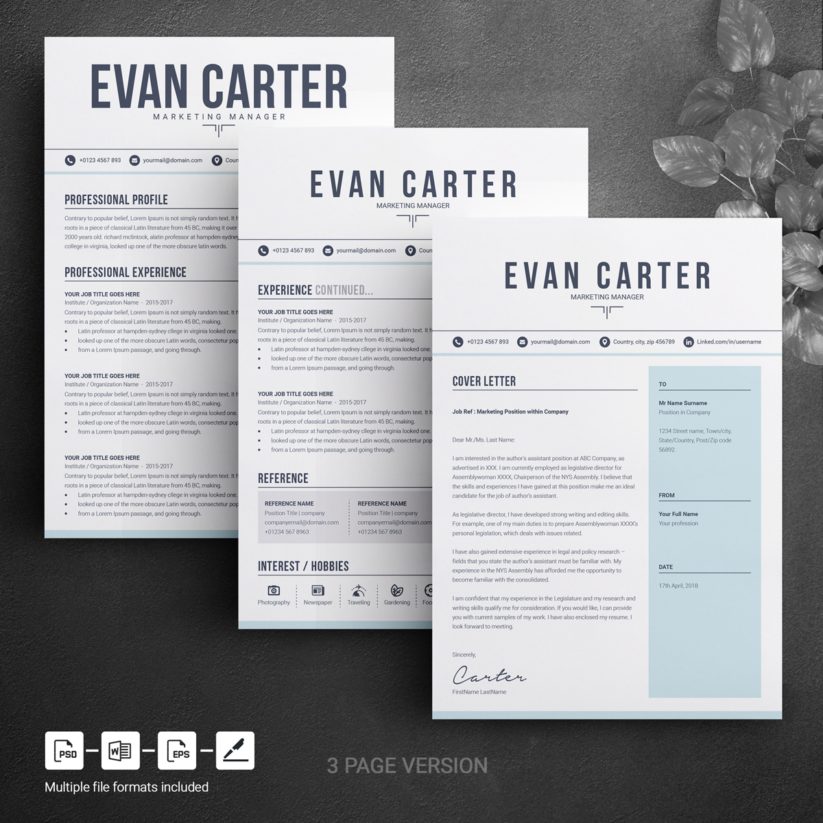Download Резюме "Evan Resume Template" / Evan Resume Template - Резюме на тему графика resume template mac page 3 best clean cover letter creative curriculum vitae cv free modern design microsoft word pages photoshop