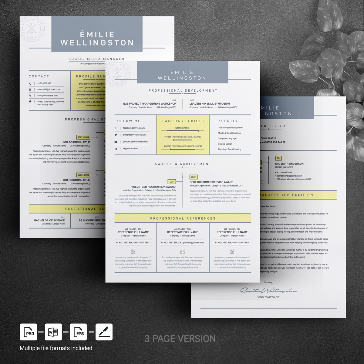 Download Резюме "Emilie Resume Template" / Emilie Resume Template - Резюме на тему графика resume template black cv and white professional curriculum vitae with photo word free microsoft mac pages photoshop psd illustrator eps