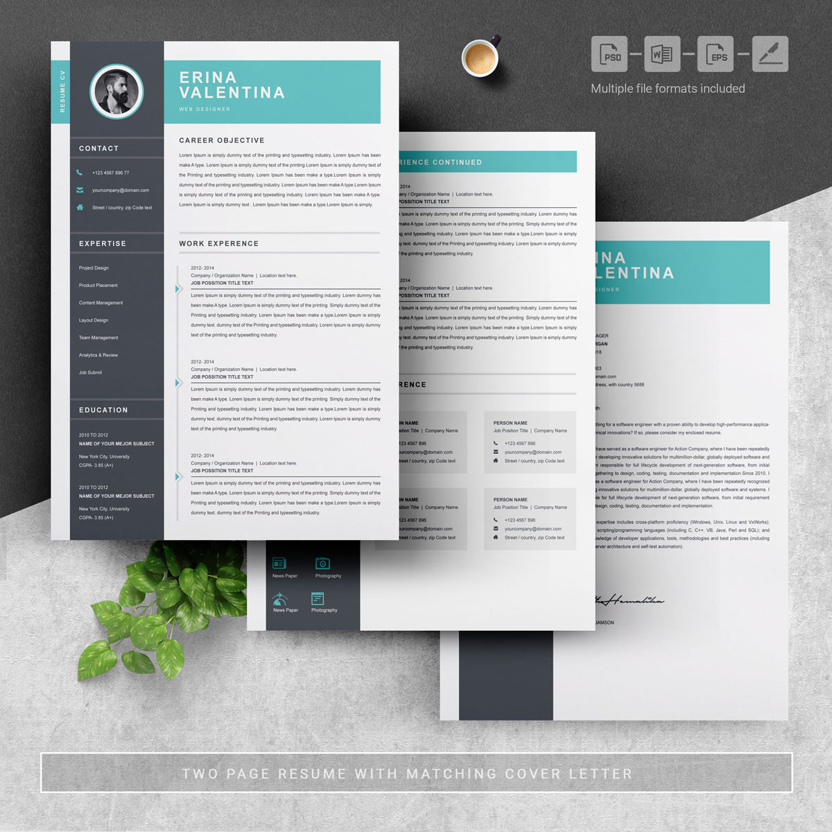 Download Резюме "Erina Valentina Resume Template" / Erina Valentina Resume Template - Резюме на тему графика 1 page resume 2 3 apple clean cover letter creative illustrator eps mac pages microsoft word minimal resume modern template
