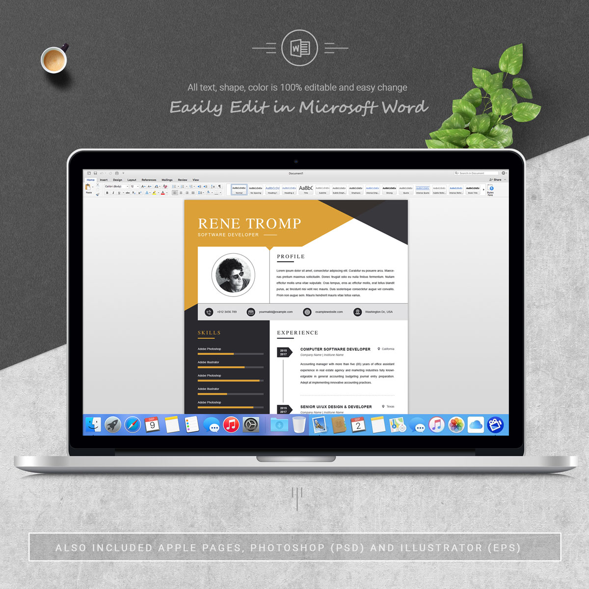 Download Резюме "Rene Tromp Resume Template" / Rene Tromp Resume Template - Резюме на тему графика 1 page resume 2 clean cv cover letter design template illustrator eps mac pages microsoft word modern photoshop psd professional