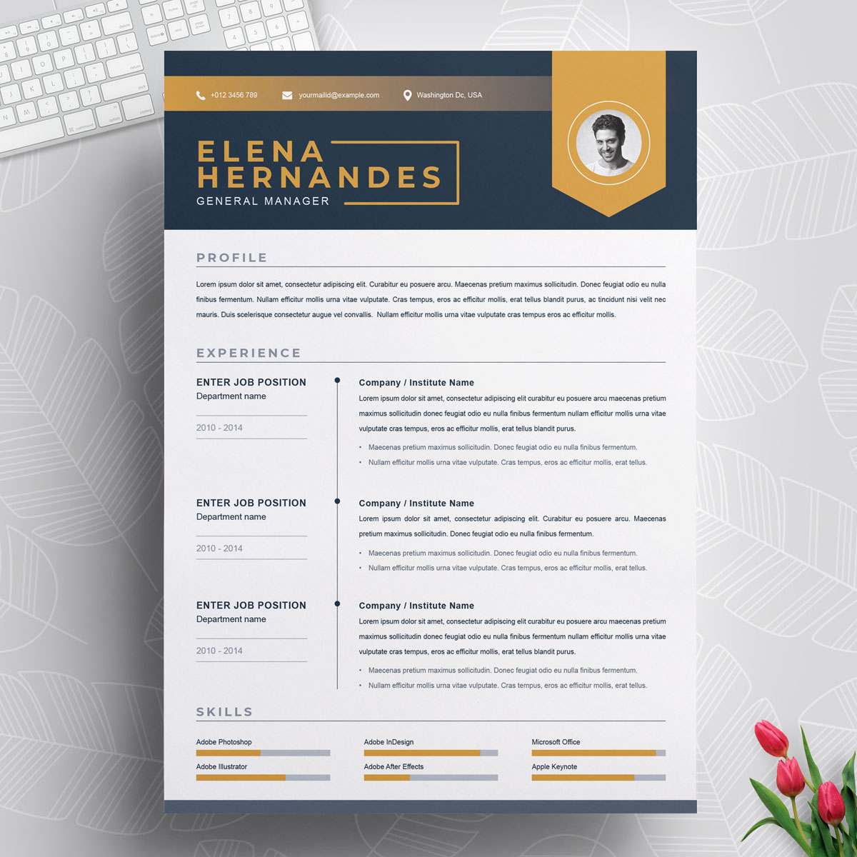 Download Резюме "Elena Resume Template" / Elena Resume Template - Резюме на тему графика 1 page resume 2 clean cv cover letter design template illustrator eps mac pages microsoft word modern photoshop psd professional