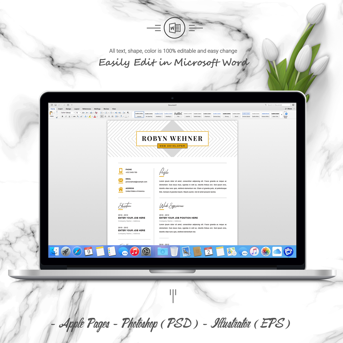 Download Резюме "Robyn Resume Template" / Robyn Resume Template - Резюме на тему графика 2 page resume clean cv cover letter design template illustrator eps mac pages microsoft word modern photoshop psd professional