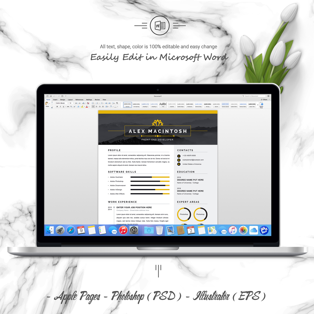 Download Резюме "Alex Resume Template" / Alex Resume Template - Резюме на тему графика clean cv resume creative curriculum vita template free professional word