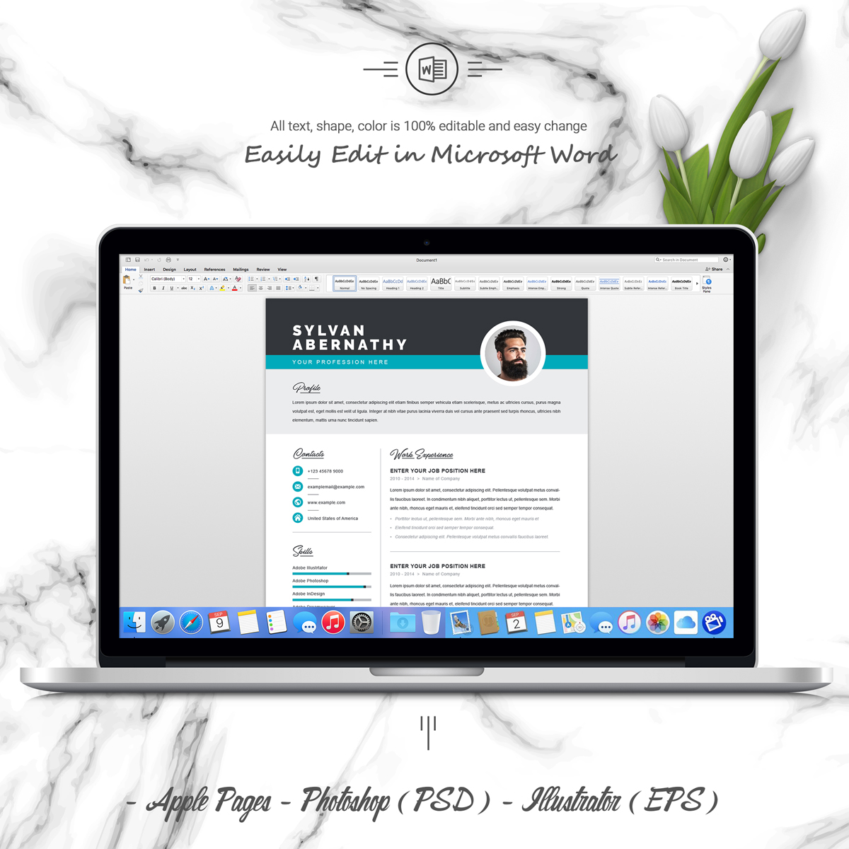 Download Резюме "Sylvan Resume Template" / Sylvan Resume Template - Резюме на тему графика 1 page resume 2 clean cv cover letter design template illustrator eps mac pages microsoft word modern photoshop psd professional