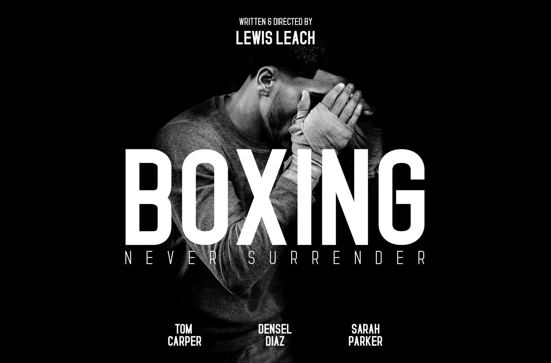 Download Шрифт "Standaris  Family - Sans Serif Font" / Standaris  Family - Sans Serif Font - Шрифт на тему графика font family logo strong brand branding typeface advertising advertisement sans-serif sans-serif-font standaris sport