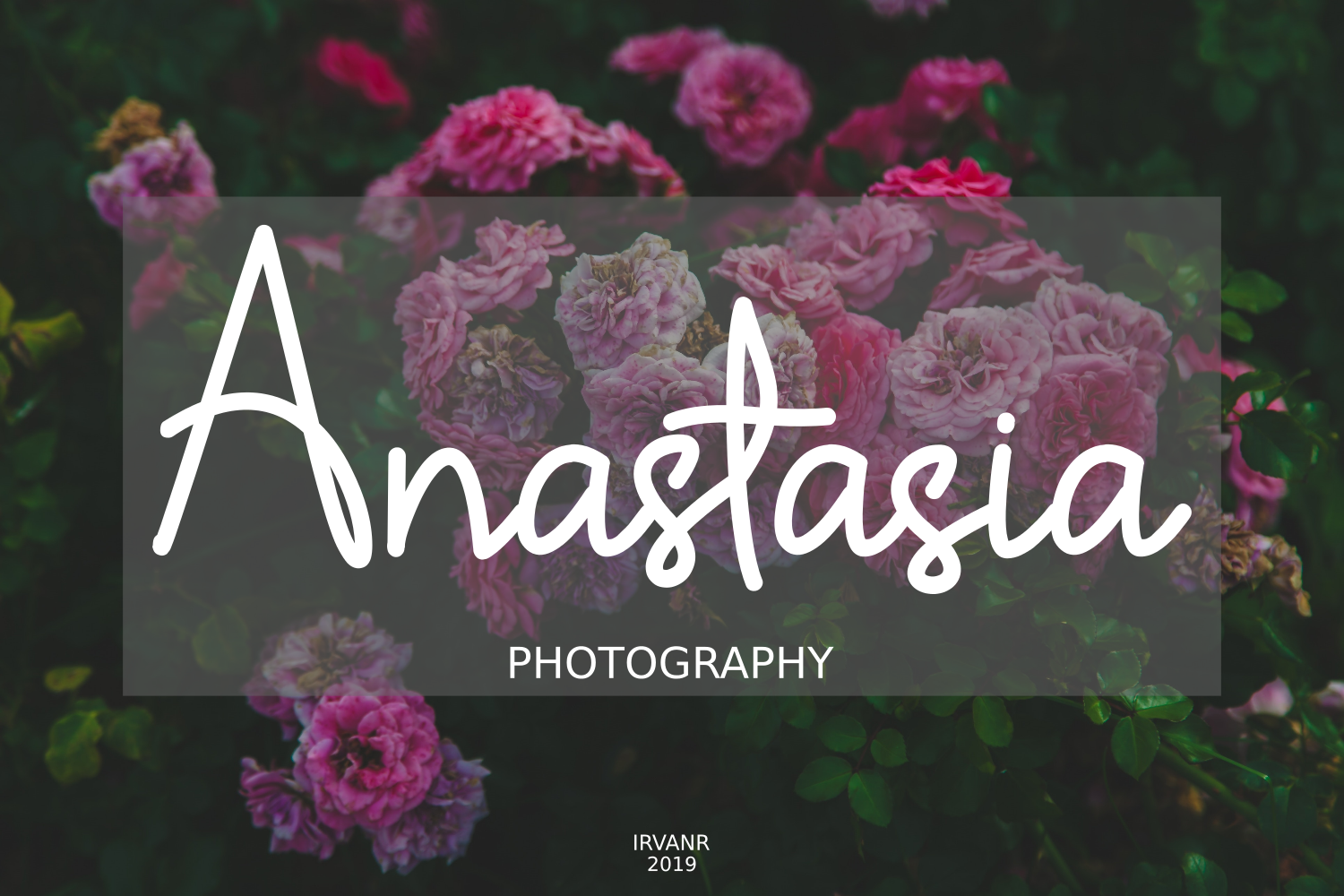 Download Шрифт "Shintelline Signature Cursive Font" / Shintelline Signature Cursive Font - Шрифт на тему графика fonts elegant modern script signature design type typography logotype handwritten best seller font adobe logo illustration