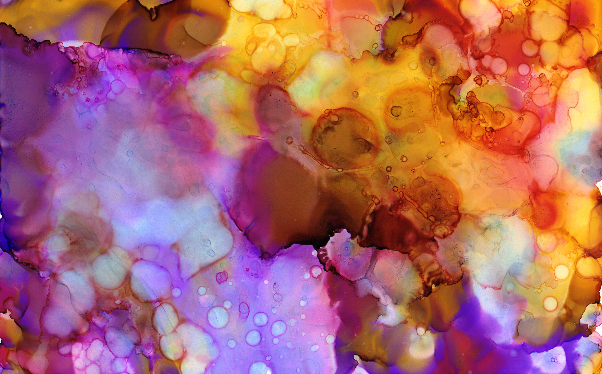 Download Иллюстрация "Blue and Purple Inks - Illustration" / Blue and Purple Inks - Illustration - Иллюстрация на тему графика watercolor watercolour ink alcohol background abstract paint texture textures textured blue purple cool