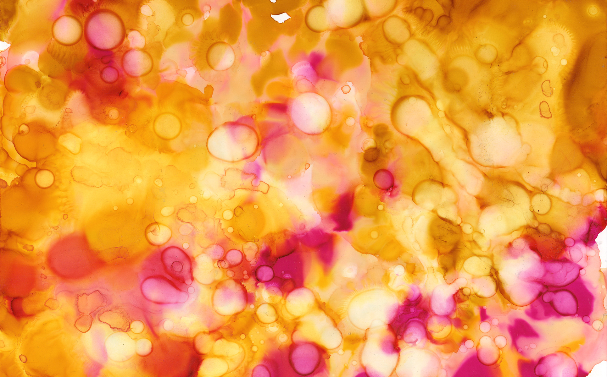 Download Иллюстрация "Orange and Yellow Ink Textures - Illustration" / Orange and Yellow Ink Textures - Illustration - Иллюстрация на тему графика watercolor watercolour ink alcohol background abstract paint texture textured textures orange yellow warm