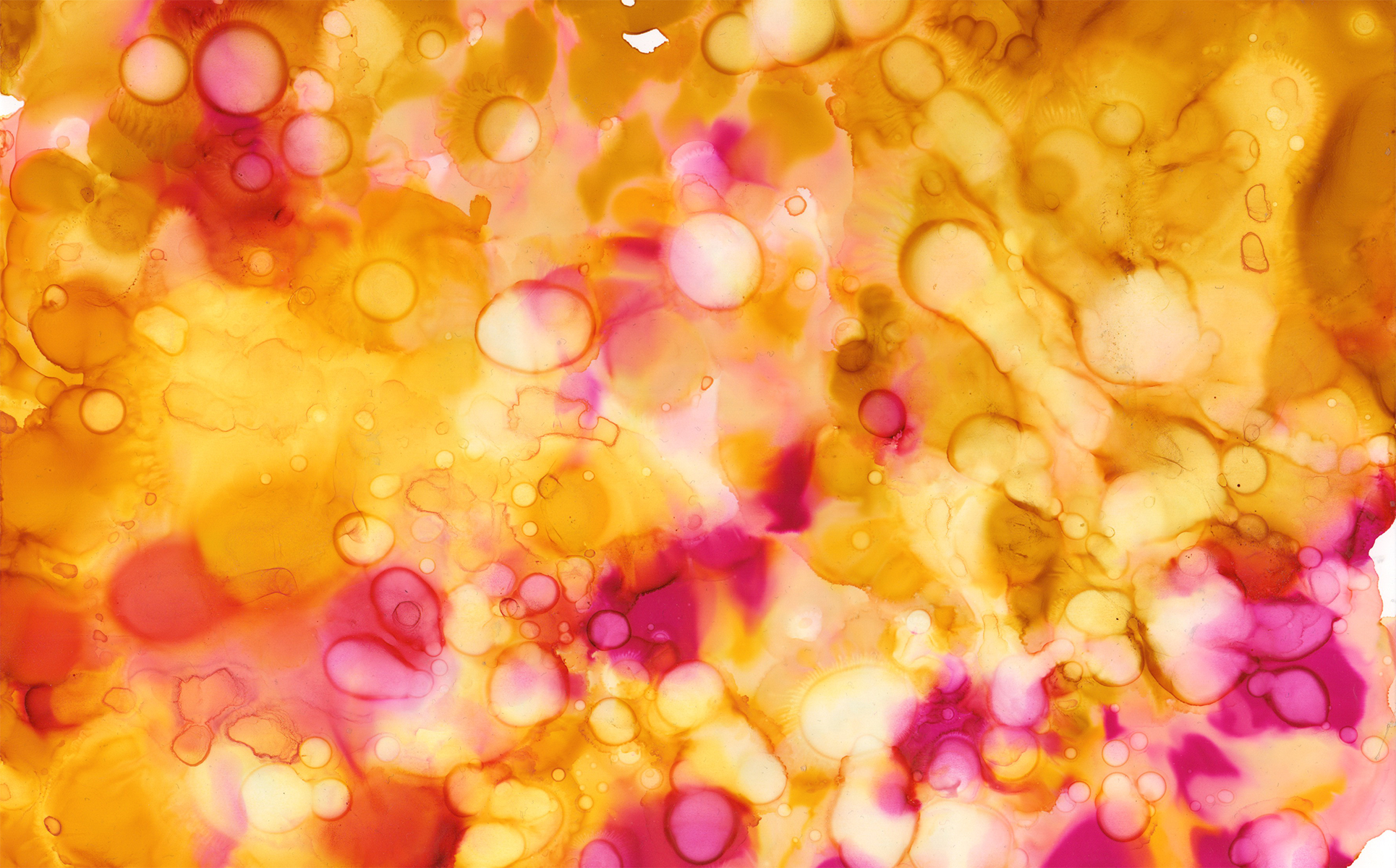 Download Иллюстрация "Multicolored Inks - Volume 1 - Illustration" / Multicolored Inks - Volume 1 - Illustration - Иллюстрация на тему графика ink inks alcohol green red blue purple yellow orange pink paint abstract watercolor watercolour background texture textures