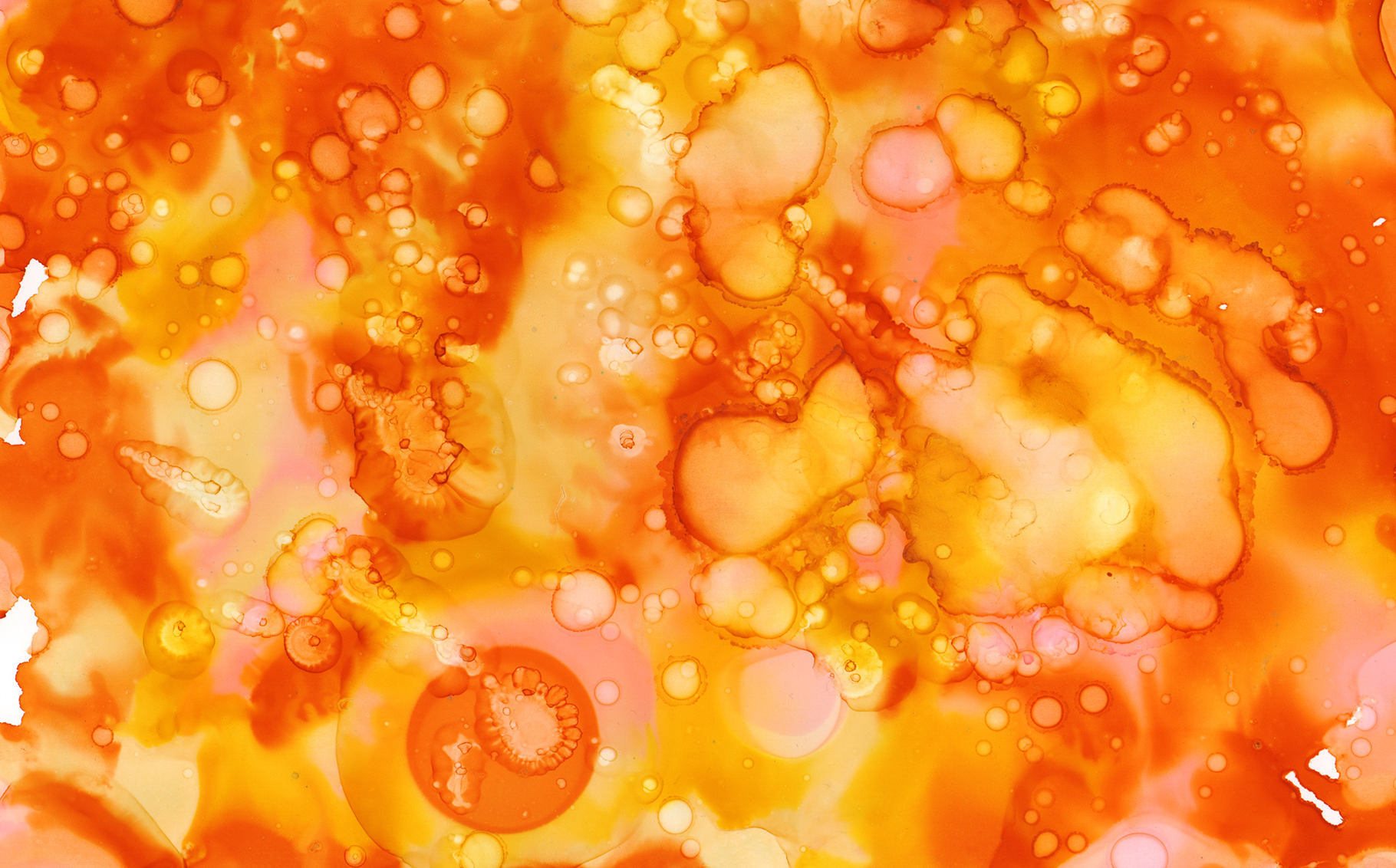 Download Иллюстрация "Multicolored Inks - Volume 3 - Illustration" / Multicolored Inks - Volume 3 - Illustration - Иллюстрация на тему графика ink inks watercolor watercolour paint abstract background texture textures strong bold colorful colourful red green blue purple orange pink yellow