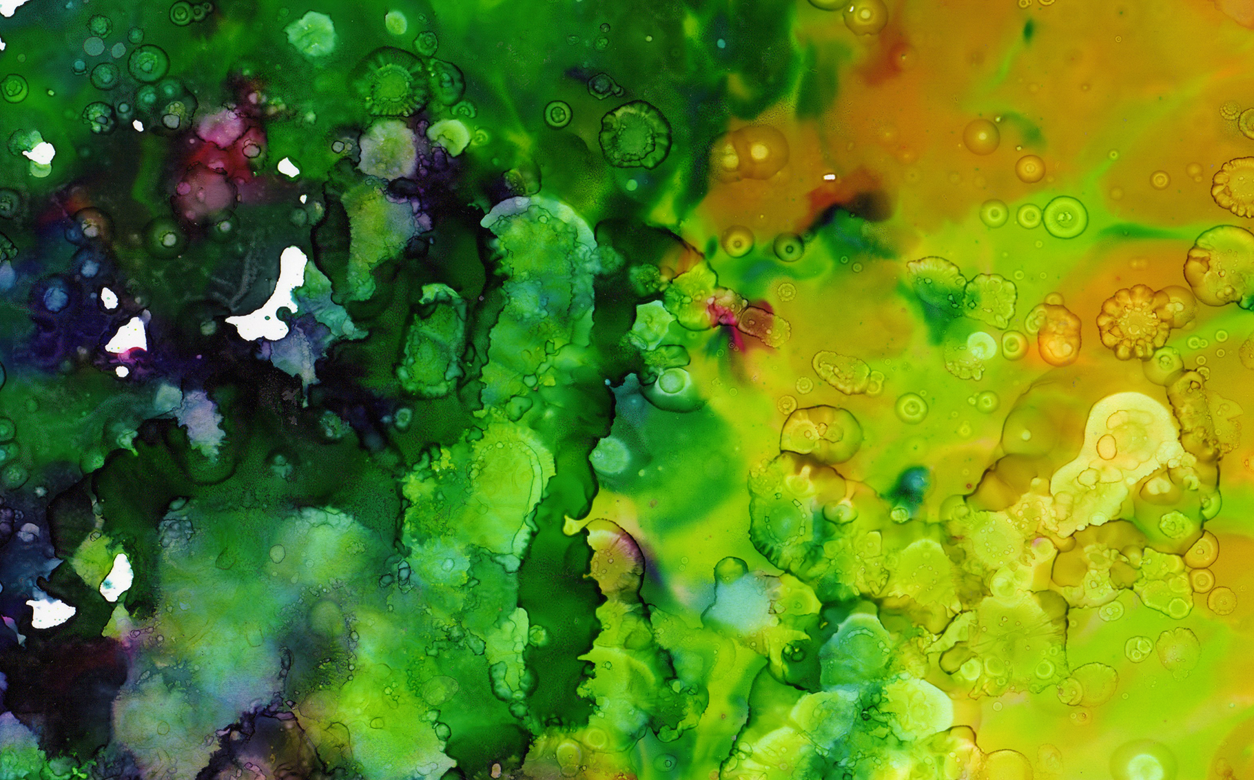 Download Иллюстрация "Multicolored Inks - Volume 3 - Illustration" / Multicolored Inks - Volume 3 - Illustration - Иллюстрация на тему графика ink inks watercolor watercolour paint abstract background texture textures strong bold colorful colourful red green blue purple orange pink yellow