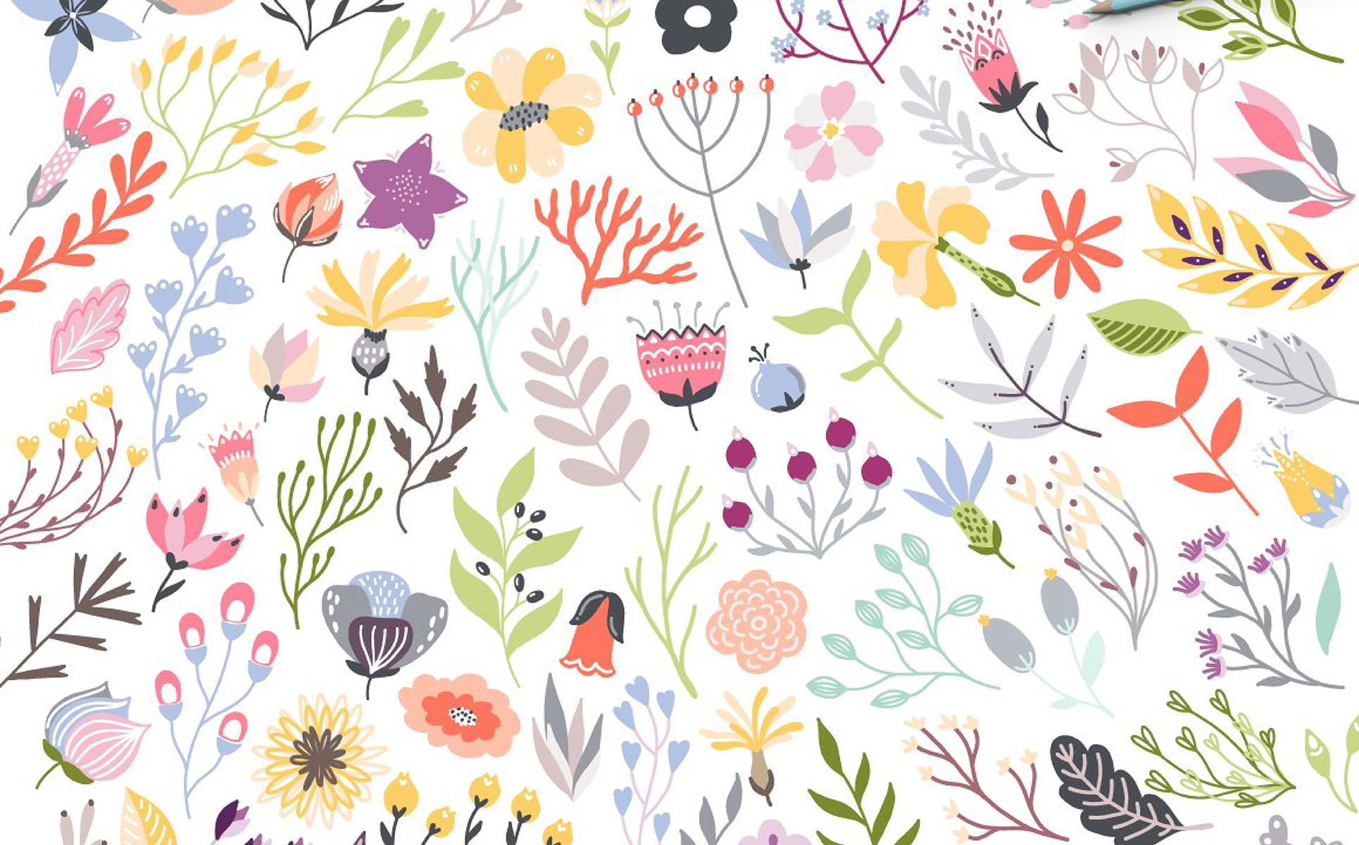 Download Иллюстрация "Blooming Bouquet Collection - Illustration" / Blooming Bouquet Collection - Illustration - Иллюстрация на тему графика floral botanical garden leaf leaves pattern ribbon berry berries flower blooming wedding logo logos invitation card romantic high resolution vector