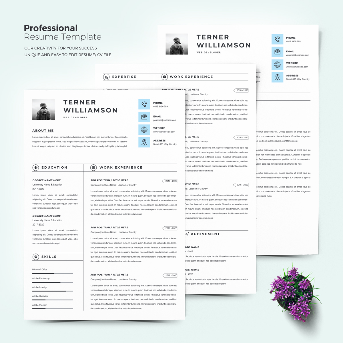 Download Резюме "Terner Resume Template" / Terner Resume Template - Резюме на тему графика a4 clean resume cv doc elegant template indesign infographic modern professional creative design minimal pages portfolio word us letter