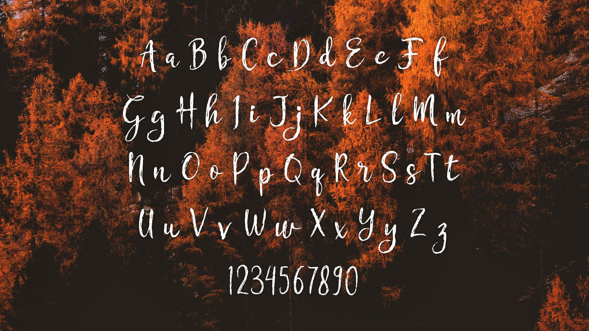 Download Шрифт "Botote Font" / Botote Font - Шрифт на тему графика font branding marketing logo business presentation modern stylish