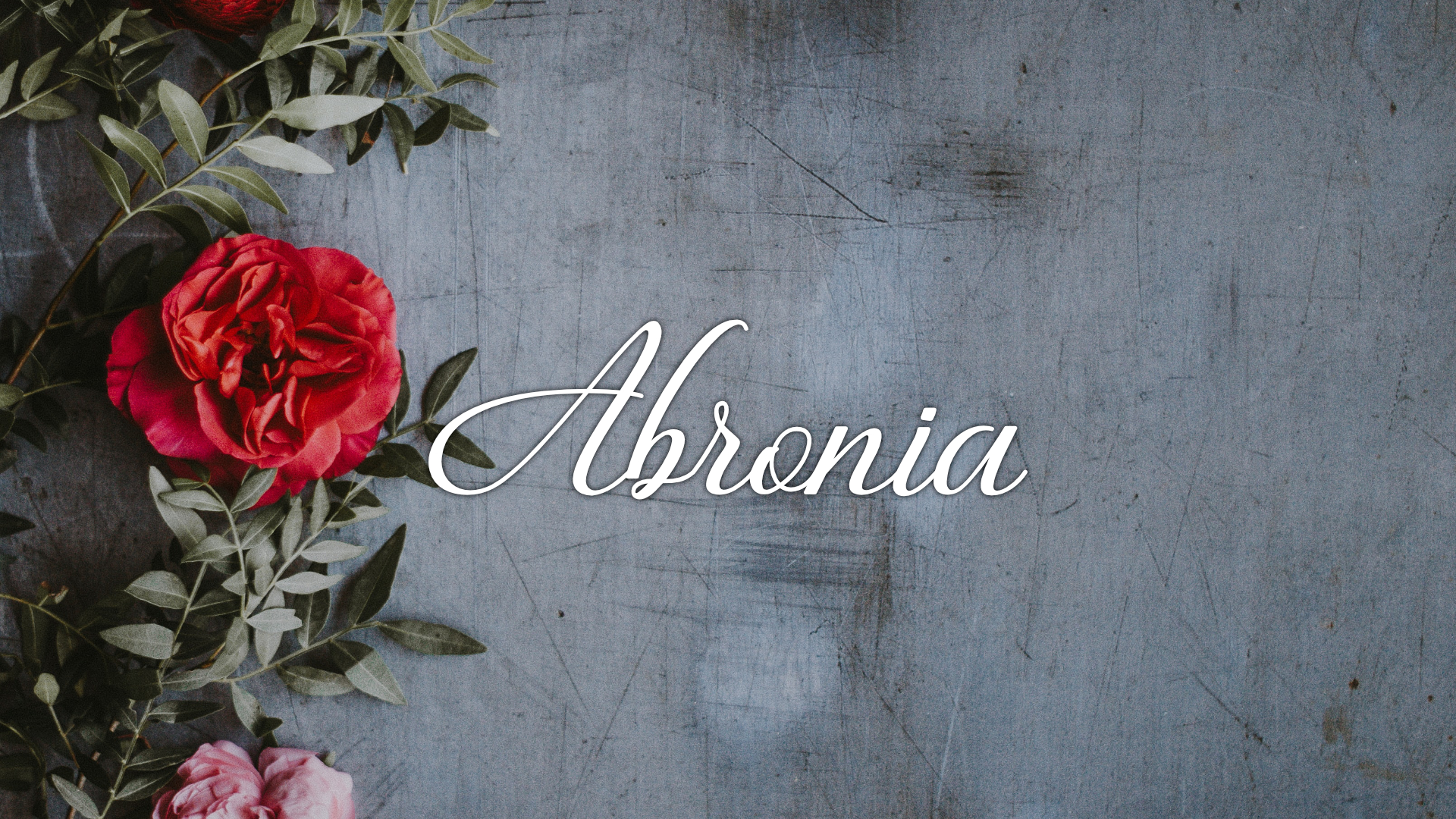 Download Шрифт "ABRONIA Font" / ABRONIA Font - Шрифт на тему графика font typography logo branding marketing
