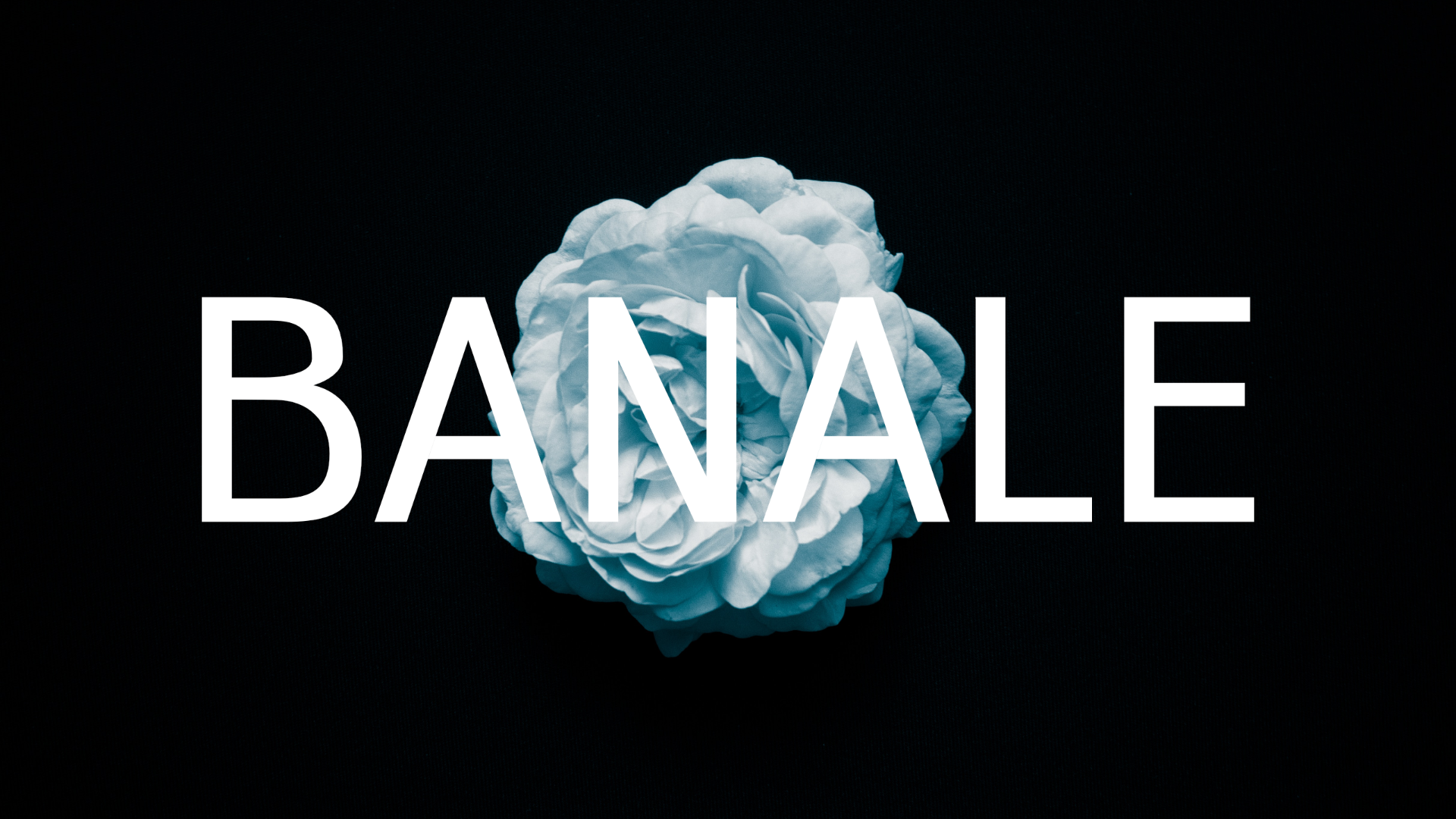Download Шрифт "Banale Font" / Banale Font - Шрифт на тему графика font logo presentation brand marketing graphis design