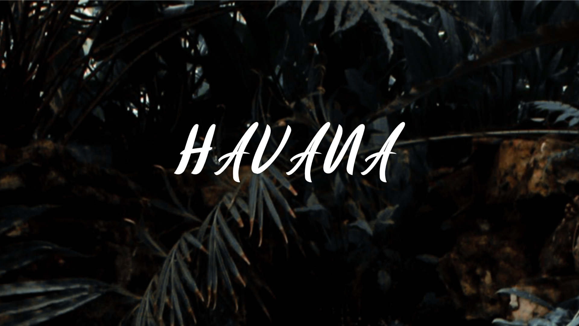 Download Шрифт "Havana Font" / Havana Font - Шрифт на тему графика font logo business modern trendy presentation