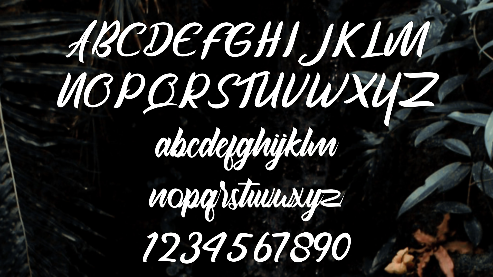 Download Шрифт "Havana Font" / Havana Font - Шрифт на тему графика font logo business modern trendy presentation