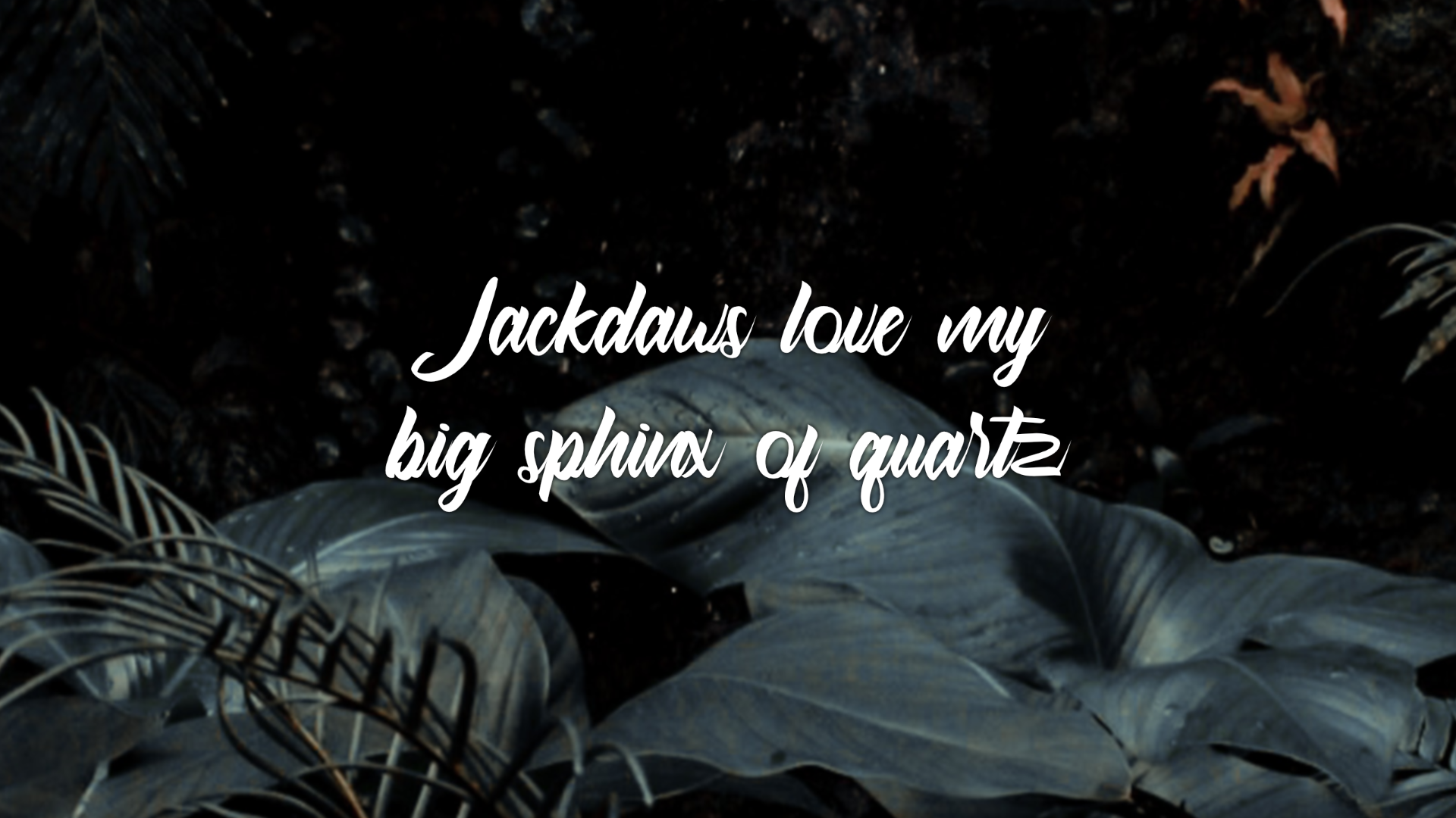 Download Шрифт "Havana Font" / Havana Font - Шрифт на тему графика font logo business modern trendy presentation