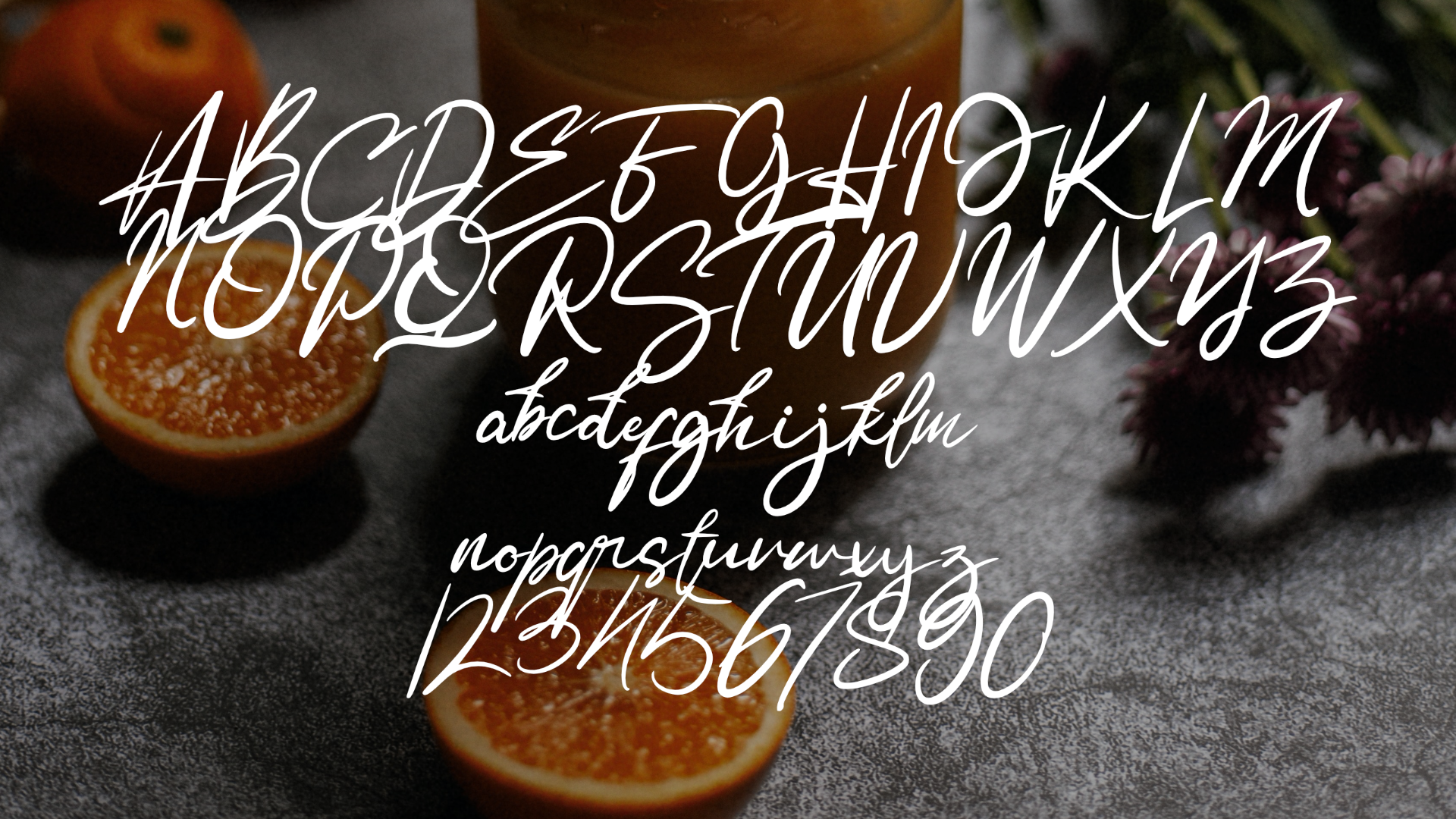 Download Шрифт "Delies Font" / Delies Font - Шрифт на тему графика font logo presentation business