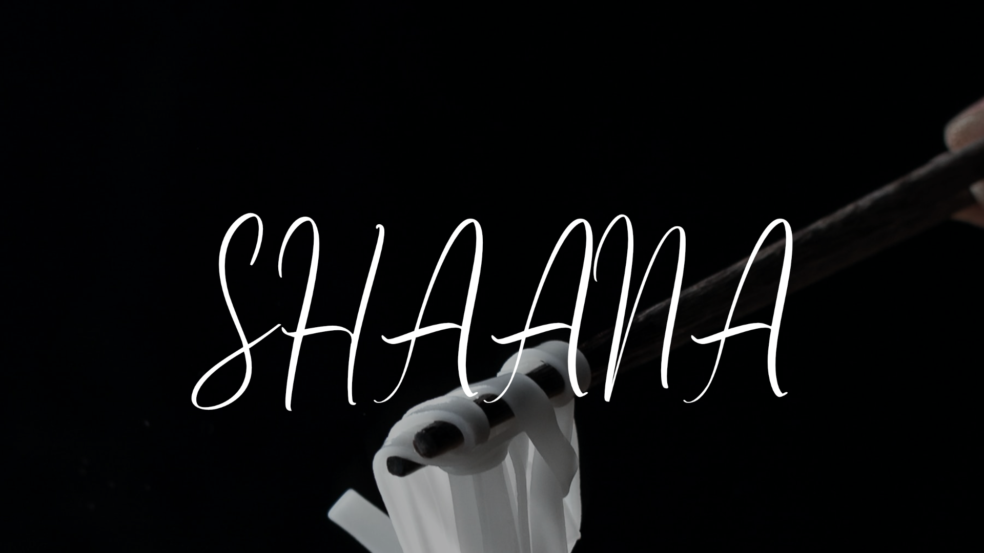 Download Шрифт "Shaana Font" / Shaana Font - Шрифт на тему графика font logo presentation business
