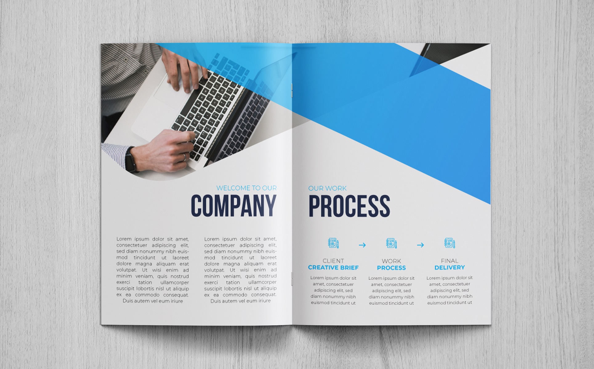 Download Фирменный стиль "Petris - Corporate Identity Template" / Petris - Corporate Identity Template - Фирменный стиль на тему графика brochure template booklet corporate creative minimal proposal catalog undefined agency company profile layout